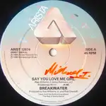 Say You Love Me Girl