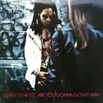 Are You Gonna Go My Way