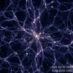 Euclid révèle l'architecture invisible de l'univers : la première carte 3D de la matière noire