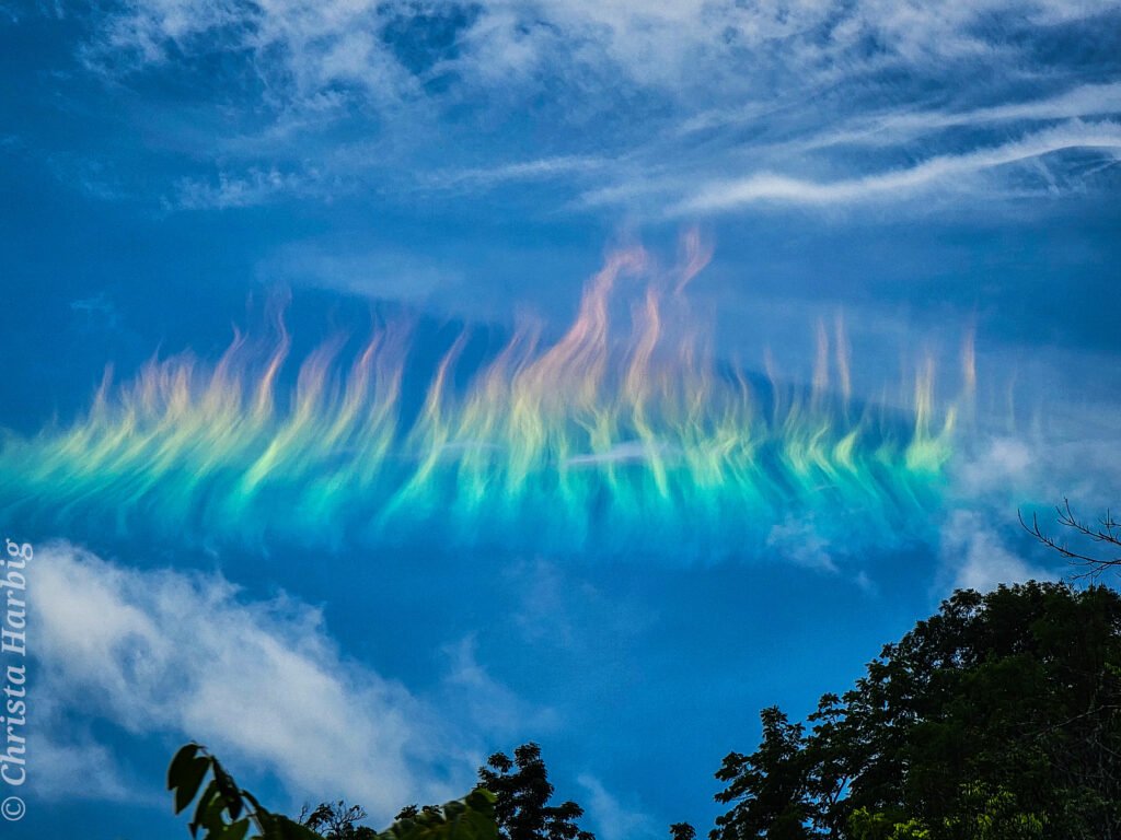 L&rsquo;image du jour 02/08/2026
